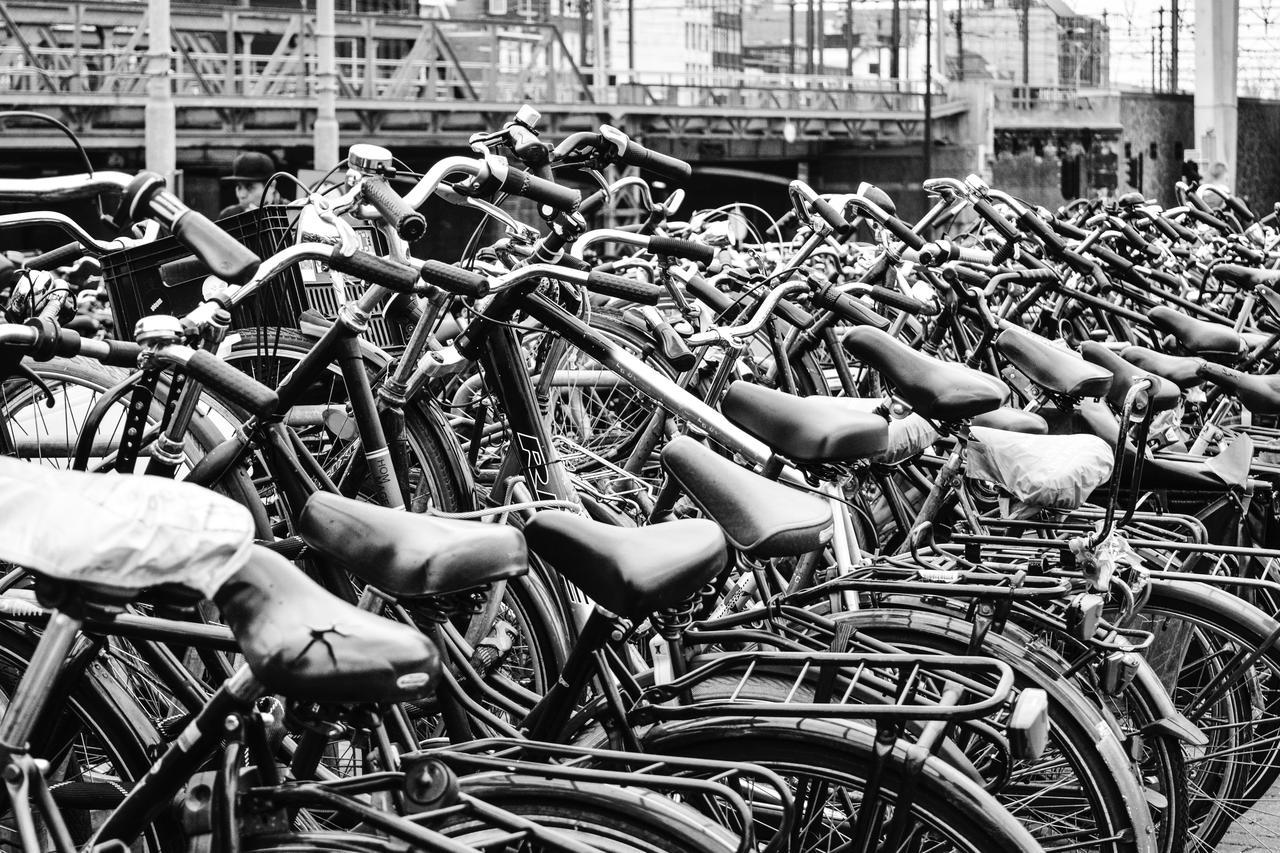 Quentin Zoo Hotel Amsterdam Bagian luar foto